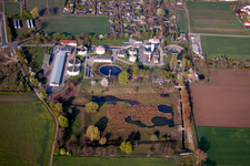 Vue aérienne de Usine de traitement des eaux usées à Grünstadt dans le département Rhénanie-Palatinat, Allemagne