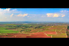 Vue aérienne de Vignobles Alte Mistkaut, Hahlreuz et Rheinhahl au-dessus du Rhin à Nackenheim dans le département Rhénanie-Palatinat, Allemagne