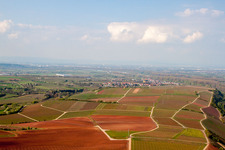 Vue aérienne de Rhin à Nierstein à Nierstein dans le département Rhénanie-Palatinat, Allemagne