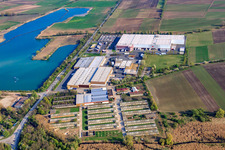 Gimbsheim dans le département Rhénanie-Palatinat, Allemagne du point de vue du drone