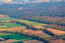Vue aérienne de Aérodrome modèle MSC Rülzheim vu du nord-ouest à Rülzheim dans le département Rhénanie-Palatinat, Allemagne