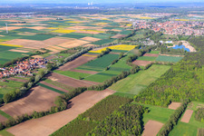 Vue aérienne de Aérodrome modèle MSC Rülzheim vu de l'ouest à Rülzheim dans le département Rhénanie-Palatinat, Allemagne