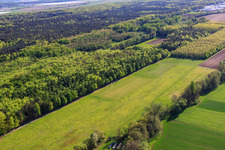 Vue aérienne de Modèle d'aérodrome du MSC Rülzheim vu du nord-est - en haut à droite de la zone industrielle de Herxheimer Gäxwald à Rülzheim dans le département Rhénanie-Palatinat, Allemagne