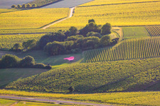 Vue aérienne de Atterrissage en ballon à Niederhorbach dans le département Rhénanie-Palatinat, Allemagne