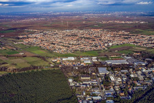 Haßloch dans le département Rhénanie-Palatinat, Allemagne vue d'en haut
