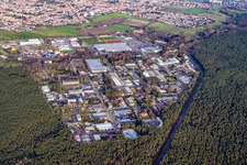 Haßloch dans le département Rhénanie-Palatinat, Allemagne depuis l'avion