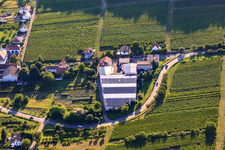 Vue oblique de Domaine viticole Emil Wissing GmbH à Oberotterbach dans le département Rhénanie-Palatinat, Allemagne