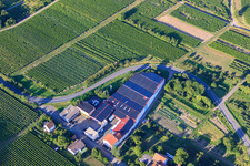 Vue aérienne de Les vins de Wissing à Oberotterbach dans le département Rhénanie-Palatinat, Allemagne