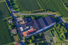 Photographie aérienne de Les vins de Wissing à Oberotterbach dans le département Rhénanie-Palatinat, Allemagne