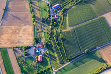 Vue aérienne de Ranch Herxe à Herxheim bei Landau dans le département Rhénanie-Palatinat, Allemagne