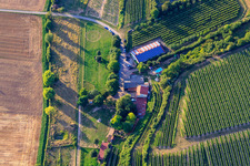 Vue oblique de Ranch Herxe à Herxheim bei Landau dans le département Rhénanie-Palatinat, Allemagne