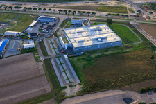 Nouveau bâtiment DBK David + Baader GmbH à Rülzheim dans le département Rhénanie-Palatinat, Allemagne vu d'un drone