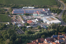 Photographie aérienne de Adam Theis GmbH - légumes frais depuis 1875 à le quartier Niederhochstadt in Hochstadt dans le département Rhénanie-Palatinat, Allemagne