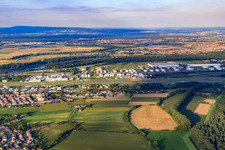Vue aérienne de Aéroport Speyer depuis l'ouest à Speyer dans le département Rhénanie-Palatinat, Allemagne