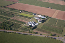 Vue d'oiseau de Dossenheim dans le département Bade-Wurtemberg, Allemagne