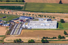 Vue oblique de Zone industrielle du Nord, nouveau bâtiment DBK à Rülzheim dans le département Rhénanie-Palatinat, Allemagne