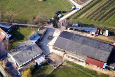 Photographie aérienne de Ferme équestre Heidebrunnerhof à Oberotterbach dans le département Rhénanie-Palatinat, Allemagne