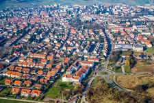 Vue aérienne de Steinfelderstr à Bad Bergzabern dans le département Rhénanie-Palatinat, Allemagne