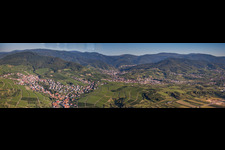 Vue aérienne de Perspective panoramique sur les vignobles et la Forêt-Noire à le quartier Altschweier in Bühl dans le département Bade-Wurtemberg, Allemagne
