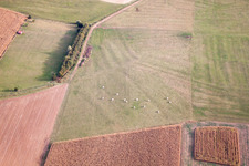 Uhrwiller dans le département Bas Rhin, France vue du ciel