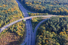 Vue aérienne de Sortie Sud A54 à Kandel dans le département Rhénanie-Palatinat, Allemagne