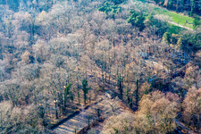 Vue aérienne de Parc aventure à Kandel dans le département Rhénanie-Palatinat, Allemagne