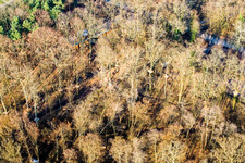 Parc aventure à Kandel dans le département Rhénanie-Palatinat, Allemagne hors des airs