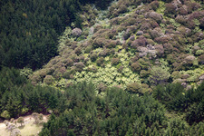 Quartier Preece Point in Coromandel dans le département Waïkato, Nouvelle-Zélande hors des airs