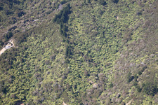 Coromandel dans le département Waïkato, Nouvelle-Zélande hors des airs