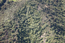 Coromandel dans le département Waïkato, Nouvelle-Zélande vue du ciel