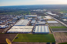 Vue aérienne de Centre logistique L'Oréal Allemagne à Muggensturm dans le département Bade-Wurtemberg, Allemagne