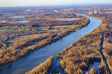 Vue aérienne de Embouchure de l'Auer Altrhein dans le Rhin à Au am Rhein dans le département Bade-Wurtemberg, Allemagne