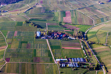Photographie aérienne de Ensemble immobilier de l'Institut Julius Kühn Rebforschungsanstalt Geilweilerhof à Siebeldingen dans le département Rhénanie-Palatinat, Allemagne