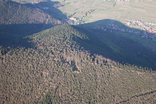 Photographie aérienne de Tour de Ludwigsturm à Weyher in der Pfalz dans le département Rhénanie-Palatinat, Allemagne
