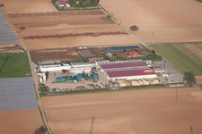 Vue aérienne de Stubenbordt GmbH & Co. KG / Dieter Stubenbordt Culture de légumes à Zeiskam dans le département Rhénanie-Palatinat, Allemagne
