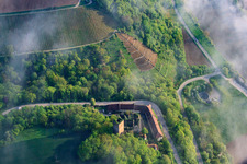Vue aérienne de Vignoble abrupt au-dessus du château d'Ehrenberg à Gäßnerklinge à Wolken à le quartier Heinsheim in Bad Rappenau dans le département Bade-Wurtemberg, Allemagne