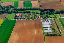 Vue aérienne de Pépinière avec serres à Otterbach à Vollmersweiler dans le département Rhénanie-Palatinat, Allemagne