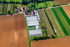 Vue oblique de Pépinière avec serres à Otterbach à Vollmersweiler dans le département Rhénanie-Palatinat, Allemagne
