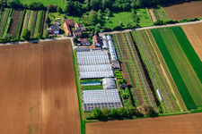 Pépinière avec serres à Otterbach à Vollmersweiler dans le département Rhénanie-Palatinat, Allemagne d'en haut