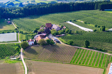 Vue aérienne de Fermes fruitières Burgenmeister et Michel à le quartier Altheim in Frickingen dans le département Bade-Wurtemberg, Allemagne