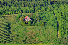 Vue aérienne de Plantation fruitière en lisière de forêt à le quartier Ruhestetten in Wald dans le département Bade-Wurtemberg, Allemagne