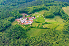 Pension pour chevaux au monastère de Liebfrauenberg à Bad Bergzabern dans le département Rhénanie-Palatinat, Allemagne d'en haut