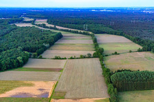 Photographie aérienne de Plaines de Bruchbach-Otterbach à Kandel dans le département Rhénanie-Palatinat, Allemagne