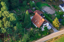 Vue aérienne de Maison en bordure de forêt dans le quartier de Bienwaldmühle à Scheibenhardt dans le département Rhénanie-Palatinat, Allemagne