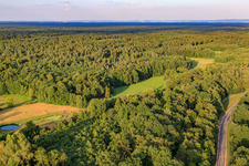 Vue aérienne de Clairières de prairies près de Bienwaldmühle à Scheibenhardt dans le département Rhénanie-Palatinat, Allemagne