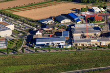 Vue aérienne de Serr Winter Gardens GmbH à Rülzheim dans le département Rhénanie-Palatinat, Allemagne