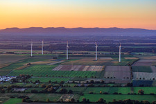 Vue aérienne de Parc éolien Minfeld depuis le sud à Minfeld dans le département Rhénanie-Palatinat, Allemagne