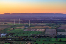 Photographie aérienne de Parc éolien Minfeld depuis le sud à Minfeld dans le département Rhénanie-Palatinat, Allemagne