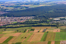Vue aérienne de Ferme d'autruches Mhou à la base de loisirs Moby Dick à Rülzheim dans le département Rhénanie-Palatinat, Allemagne