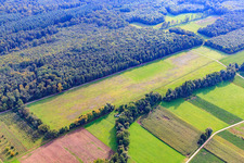 Photographie aérienne de Aérodrome modèle à Rülzheim dans le département Rhénanie-Palatinat, Allemagne